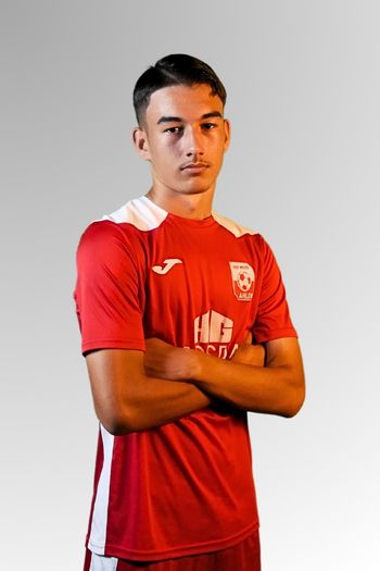 Danel Dedic